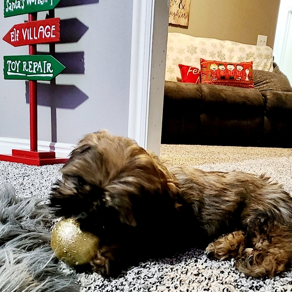 Meet your Posher, Karina - Picture 7 of 9